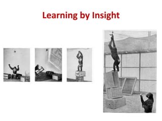 Learning by Insight
 