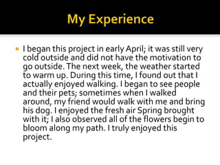  I began this project in early April; it was still very
cold outside and did not have the motivation to
go outside.The next week, the weather started
to warm up. During this time, I found out that I
actually enjoyed walking. I began to see people
and their pets; sometimes when I walked
around, my friend would walk with me and bring
his dog. I enjoyed the fresh air Spring brought
with it; I also observed all of the flowers begin to
bloom along my path. I truly enjoyed this
project.
 