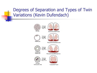 Lifespan Development Module 1 Lesson 3 Slides: Newborn and Prenatal ...