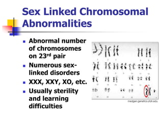 Lifespan Development Module 1 Lesson 3 Slides: Newborn and Prenatal ...