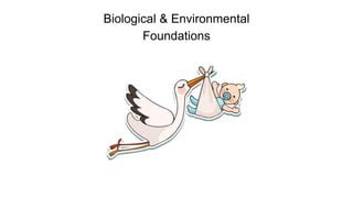 Biological & Environmental
Foundations
 