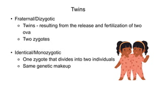 • Fraternal/Dizygotic
⚬ Twins - resulting from the release and fertilization of two
ova
⚬ Two zygotes
• Identical/Monozygotic
⚬ One zygote that divides into two individuals
⚬ Same genetic makeup
Twins
 