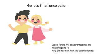 Genetic inheritence pattern
Except for the XY, all choromosomes are
matching pairs so;
why one has dark-hair and other is blonde?
 