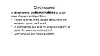 A chromosomal disorder: chromosomes cause
major developmental problems
• Failure to divide in the Meiosis stage, when the
ovum and sperm are formed
• A chromosome pair does not separate properly, or
parts of choromosomes breaks of
• Many physical and mental problems
Chromosomal
Abnormalities
 