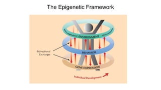 The Epigenetic Framework
 