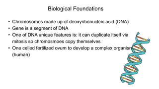 • Chromosomes made up of deoxyribonucleic acid (DNA)
• Gene is a segment of DNA
• One of DNA unique features is: it can duplicate itself via
mitosis so chromosmoes copy themselves
• One celled fertilized ovum to develop a complex organism
(human)
Biological Foundations
 