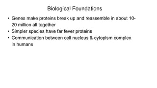 • Genes make proteins break up and reassemble in about 10-
20 million all together
• Simpler species have far fever proteins
• Communication between cell nucleus & cytoplsm complex
in humans
Biological Foundations
 
