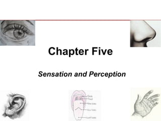 Chapter Five
Sensation and Perception
 
