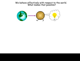 We behave effectively with respect to the world.  What makes that possible? 