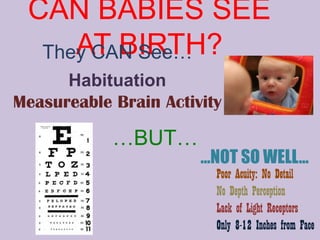 CAN BABIES SEE AT BIRTH? They CAN See… Habituation  Measureable Brain Activity …BUT… …NOT SO WELL… Poor Acuity: No Detail No Depth Perception Lack of Light Receptors Only 8-12 Inches from Face 