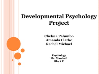 Developmental Psychology  Project Chelsea Palumbo Amanda Clarke Rachel Michael Psychology Mr. Marshall  Block E 