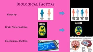 Schizophrenia Class Report (MENTAL DISORDER)