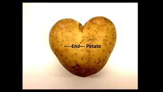 ----End--- Potato
 