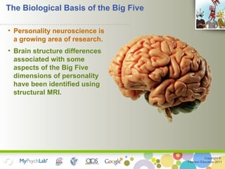 Copyright ©
Pearson Education 2011
The Biological Basis of the Big Five
• Personality neuroscience is
a growing area of research.
• Brain structure differences
associated with some
aspects of the Big Five
dimensions of personality
have been identified using
structural MRI.
 