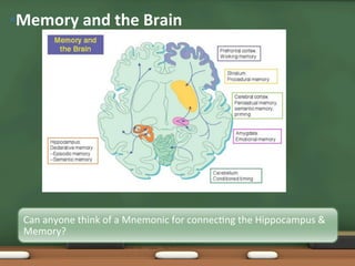Memory | PDF