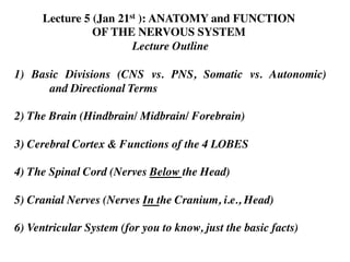 Lecture 5 (Jan 21st ): ANATOMY and FUNCTION	

OF THE NERVOUS SYSTEM	

Lecture Outline	

	

1) Basic Divisions (CNS vs. PNS, Somatic vs. Autonomic)
	

and Directional Terms	

	

2) The Brain (Hindbrain/ Midbrain/ Forebrain)	

	

3) Cerebral Cortex & Functions of the 4 LOBES	

	

4) The Spinal Cord (Nerves Below the Head)	

	

5) Cranial Nerves (Nerves In the Cranium, i.e., Head)	

	

6) Ventricular System (for you to know, just the basic facts)	

 