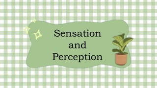 Sensation
and
Perception
 