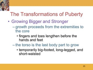 The Transformations of Puberty
• Growing Bigger and Stronger
  – growth proceeds from the extremities to
    the core
    • fingers and toes lengthen before the
      hands and feet
  – the torso is the last body part to grow
    • temporarily big-footed, long-legged, and
      short-waisted


                                                 23
 