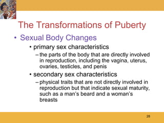 The Transformations of Puberty
• Sexual Body Changes
   • primary sex characteristics
     – the parts of the body that are directly involved
       in reproduction, including the vagina, uterus,
       ovaries, testicles, and penis
   • secondary sex characteristics
     – physical traits that are not directly involved in
       reproduction but that indicate sexual maturity,
       such as a man’s beard and a woman’s
       breasts

                                                      28
 
