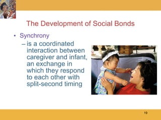 The Development of Social Bonds Synchrony is a coordinated interaction between caregiver and infant, an exchange in which they respond to each other with split-second timing 