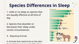 Species Differences in Sleep
1. Little or no sleep on species that
are equally effective at all time of
day.
2. Species that abandon or
decreases their sleep under
certain circumstances.
3. . Migrating Animals
4. Animals that need to be on the alert
 