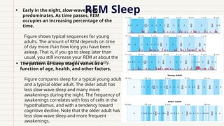 REM Sleep
• Early in the night, slow-wave sleep
predominates. As time passes, REM
occupies an increasing percentage of the
time.
• Figure shows typical sequences for young
adults. The amount of REM depends on time
of day more than how long you have been
asleep. That is, if you go to sleep later than
usual, you still increase your REM at about the
same time that you would have ordinarily.
• The pattern of sleep stages varies as a
function of age, health, and other factors.
• Figure compares sleep for a typical young adult
and a typical older adult. The older adult has
less slow-wave sleep and many more
awakenings during the night. The frequency of
awakenings correlates with loss of cells in the
hypothalamus, and with a tendency toward
cognitive decline. Note that the older adult has
less slow-wave sleep and more frequent
awakenings.
 
