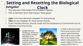 Setting and Resetting the Biological
Clock
Zeitgeber
• The stimulus that resets the circadian rhythm.
• This is German term that means “time-giver.”
• Light is the most dominant zeitgeber for land animals.
• Tides are the zeitgeber for most marine animals.
• It also includes exercise, arousal, meals and the temperature of environment but its
influence is not that strong.
 A study in Germany shows
that sunrise occurs at the
eastern end of Germany
about half an hour earlier
than at the western end,
which is why people at the
eastern edge of a time zone
awaken earlier than in
 people who are
working in Antarctica
during the constant
darkness of an
Antarctic winter try to
maintain a 24-hour
rhythm, but they drift
away from it.
 