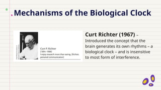 Mechanisms of the Biological Clock
Curt Richter (1967) –
Introduced the concept that the
brain generates its own rhythms – a
biological clock – and is insensitive
to most form of interference.
 