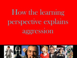 How the learning perspective explains aggression 