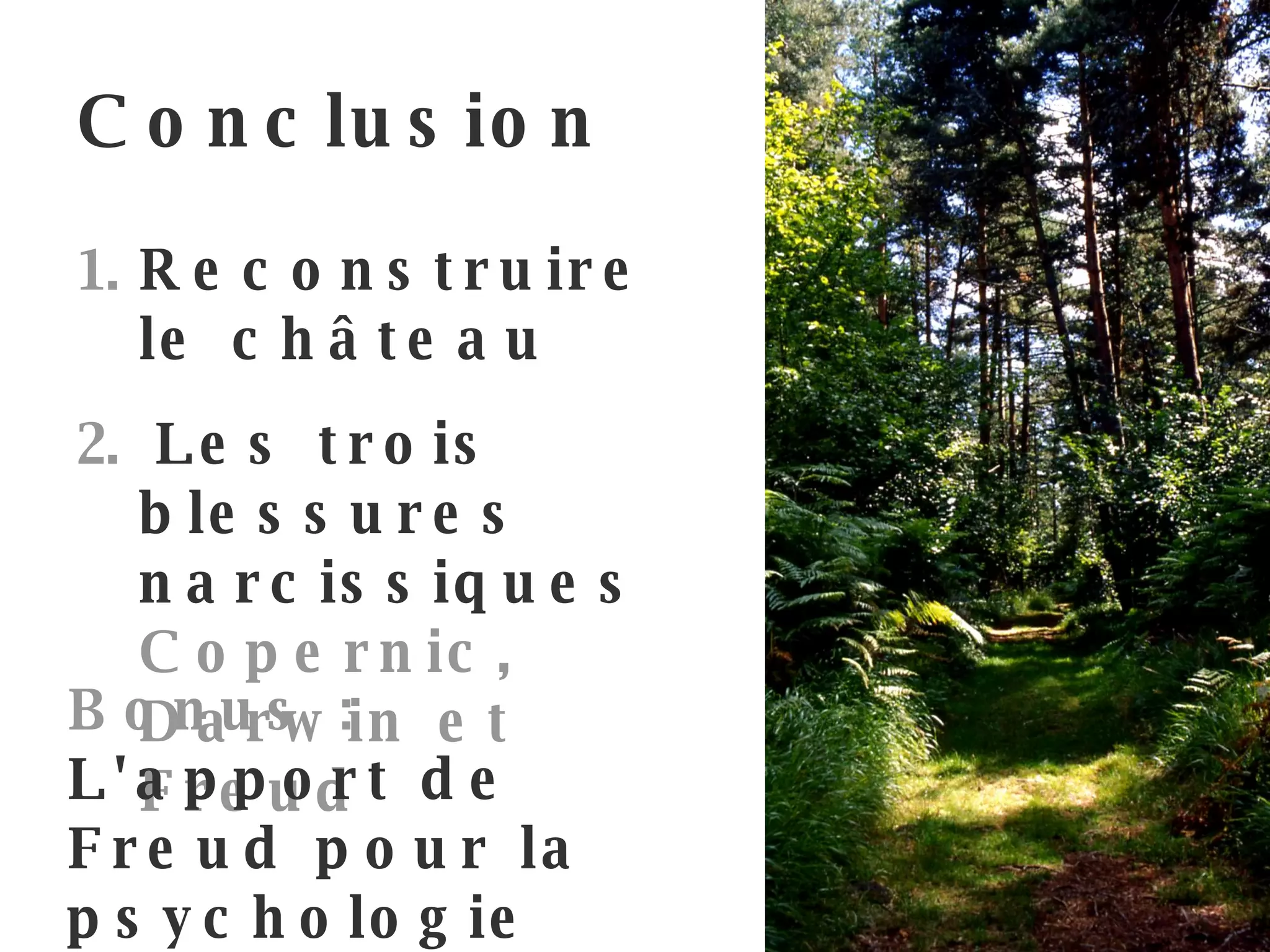Conclusion Reconstruire le château Les trois blessures narcissiques  Copernic, Darwin et Freud Bonus :   L'apport de Freud pour la psychologie sociale   