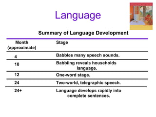 Language Summary of Language Development Month (approximate) Stage 4 10 12 24 24+ Babbles many speech sounds. Babbling reveals households  language. One-word stage. Two-world, telegraphic speech. Language develops rapidly into complete sentences. 