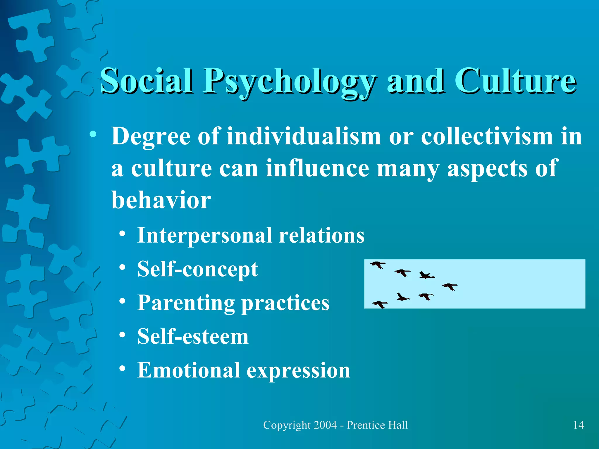 Social Psychology and Culture
• Degree of individualism or collectivism in
a culture can influence many aspects of
behavior
•
•
•
•
•

Interpersonal relations
Self-concept
Parenting practices
Self-esteem
Emotional expression
Copyright 2004 - Prentice Hall

14

 