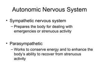 Autonomic Nervous System Sympathetic nervous system Prepares the body for dealing with emergencies or strenuous activity Parasympathetic Works to conserve energy and to enhance the body’s ability to recover from strenuous activity 