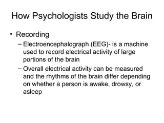 How Psychologists Study the Brain Recording Electroencephalograph (EEG)- is a machine used to record electrical activity of large portions of the brain Overall electrical activity can be measured and the rhythms of the brain differ depending on whether a person is awake, drowsy, or asleep 