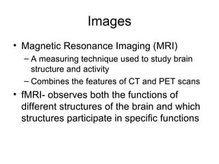 Images Magnetic Resonance Imaging (MRI) A measuring technique used to study brain structure and activity Combines the features of CT and PET scans fMRI- observes both the functions of different structures of the brain and which structures participate in specific functions 