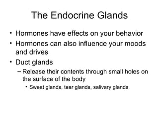 The Endocrine Glands Hormones have effects on your behavior Hormones can also influence your moods and drives Duct glands Release their contents through small holes on the surface of the body Sweat glands, tear glands, salivary glands 