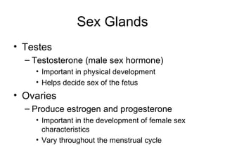 Sex Glands Testes Testosterone (male sex hormone) Important in physical development Helps decide sex of the fetus Ovaries Produce estrogen and progesterone Important in the development of female sex characteristics Vary throughout the menstrual cycle 