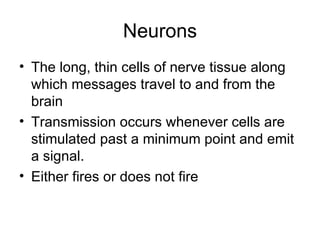 Neurons The long, thin cells of nerve tissue along which messages travel to and from the brain Transmission occurs whenever cells are stimulated past a minimum point and emit a signal. Either fires or does not fire 