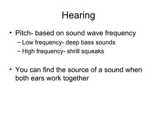 Hearing <ul><li>Pitch- based on sound wave frequency </li></ul><ul><ul><li>Low frequency- deep bass sounds </li></ul></ul>...