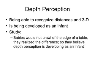 Depth Perception <ul><li>Being able to recognize distances and 3-D </li></ul><ul><li>Is being developed as an infant </li>...