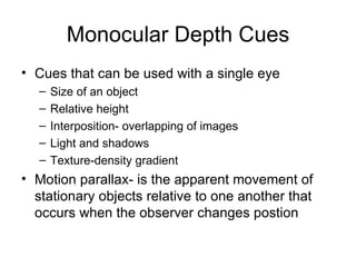 Monocular Depth Cues <ul><li>Cues that can be used with a single eye </li></ul><ul><ul><li>Size of an object </li></ul></u...