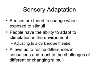 Sensory Adaptation <ul><li>Senses are tuned to change when exposed to stimuli </li></ul><ul><li>People have the ability to...