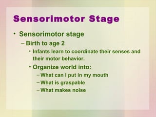 Sensorimotor Stage
• Self-recognition
– Towards end of stage
– Rouge test Lewis & Brooks 1979
– Placed in front of mirror
– Touched nose at 18 – 24 months.
 