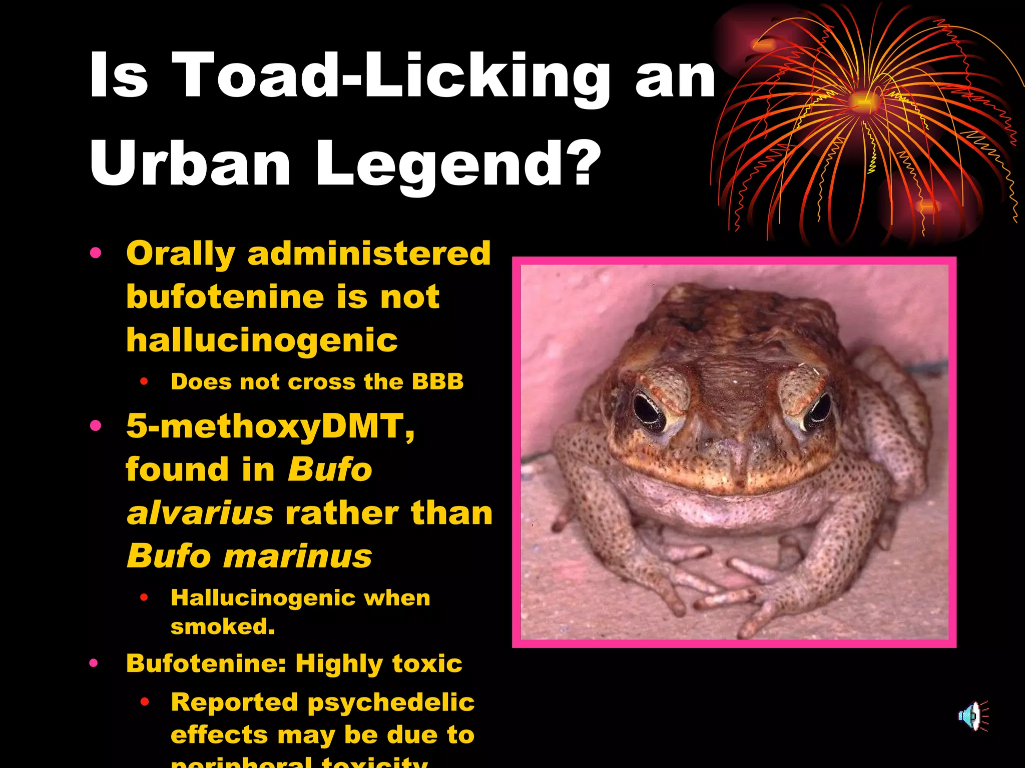 Is Toad-Licking an Urban Legend? Orally administered bufotenine is not hallucinogenic Does not cross the BBB 5-methoxyDMT, found in  Bufo alvarius  rather than  Bufo marinus Hallucinogenic when smoked. Bufotenine: Highly toxic Reported psychedelic effects may be due to peripheral toxicity 
