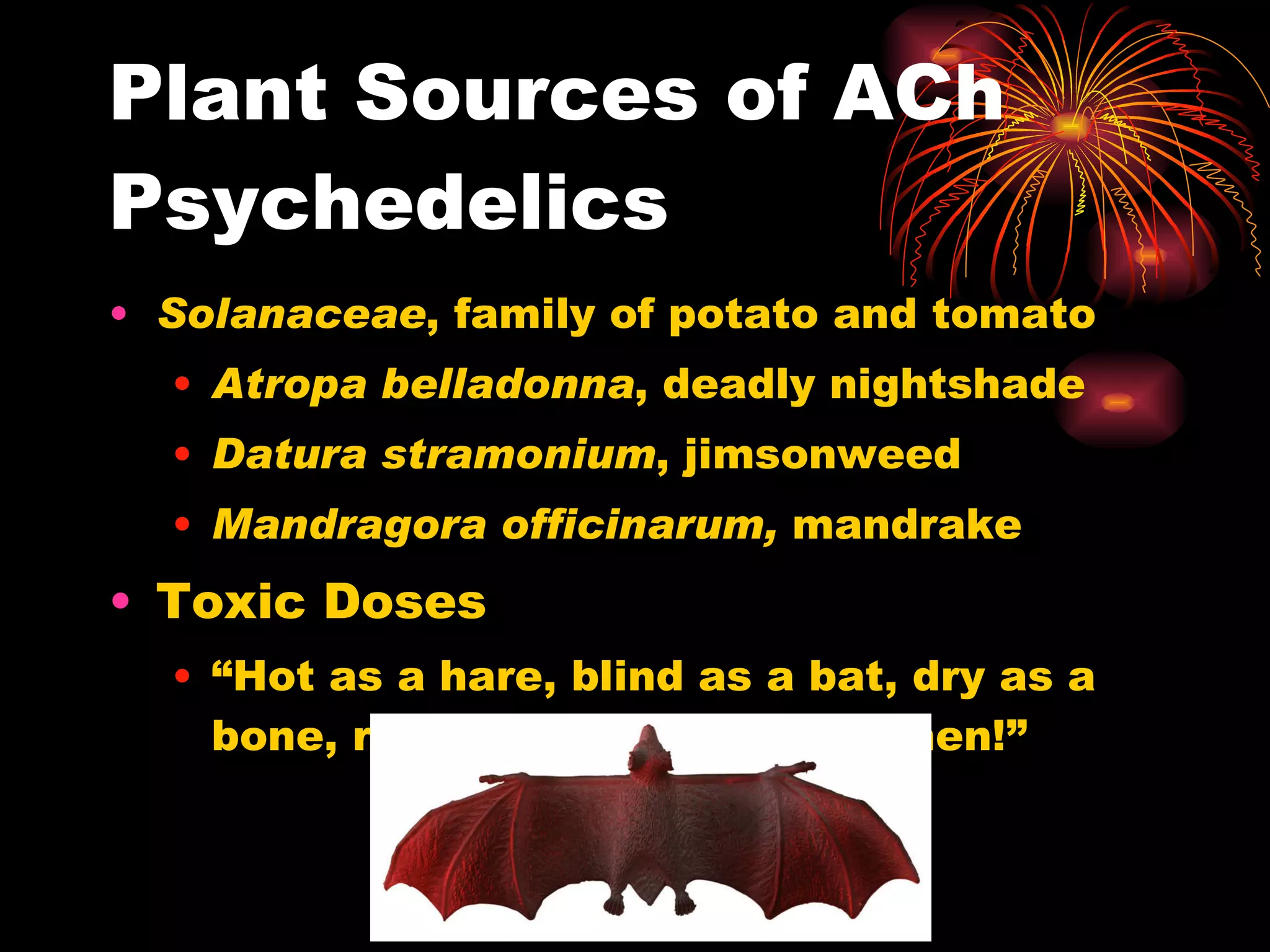 Plant Sources of ACh Psychedelics Solanaceae , family of potato and tomato Atropa belladonna , deadly nightshade Datura stramonium , jimsonweed Mandragora officinarum,  mandrake Toxic Doses “ Hot as a hare, blind as a bat, dry as a bone, red as a beet, mad as a hen!” 