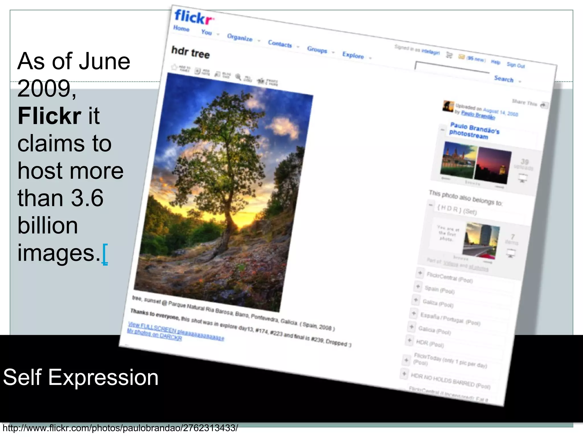Self Expression http://www.flickr.com/photos/paulobrandao/2762313433/ As of June 2009,  Flickr  it claims to host more than 3.6 billion images. [ 