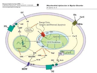 Psychiatric Disorders in Mitochondrial Diseases; Mitochondrial Dysreg…