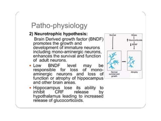 Psychiatric Disorders-WPS Office 1.pptx