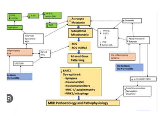 Psychiatric Disorders-WPS Office 1.pptx
