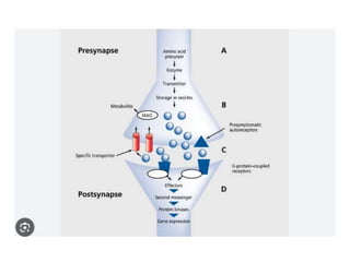 Psychiatric Disorders-WPS Office 1.pptx